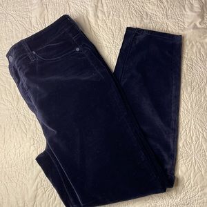 Soft Surroundings Velvet High Rise Skinny Pants